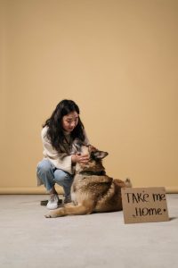 A woman holding a dog with a "Take me home" sign